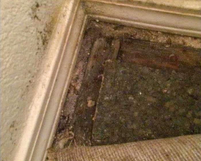 If there are unpleasant odors coming from your walls, floors, or drains, you might have a mold problem. You can depend on SERVPRO of Carthage/Joplin to handle all of your mold removal needs. If you have any questions or would like to schedule service, please give us a call!