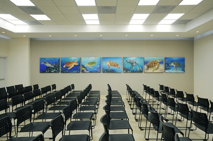 Images Holiday Inn Express Puerto Vallarta by IHG
