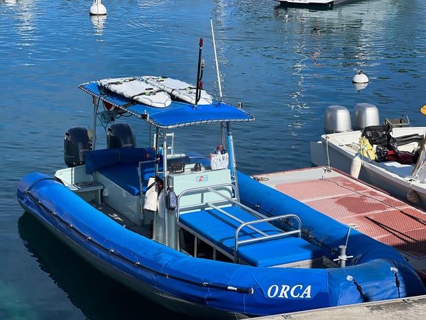 Images Kona Snorkel Trips