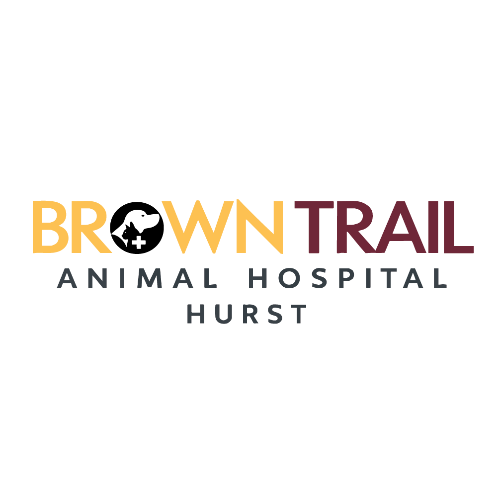 Brown Trail Animal Hospital - Hurst