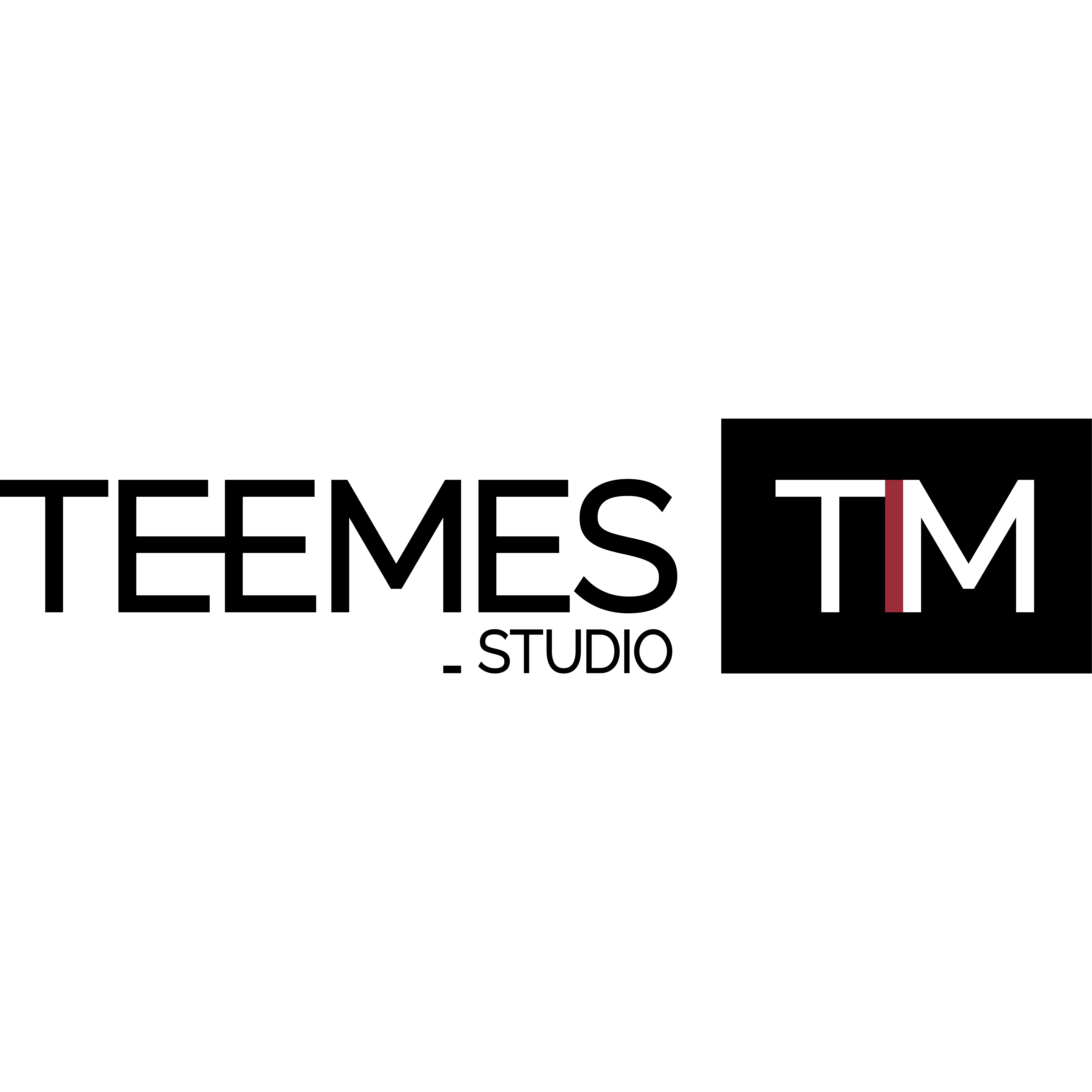 Teemes Studio Logo