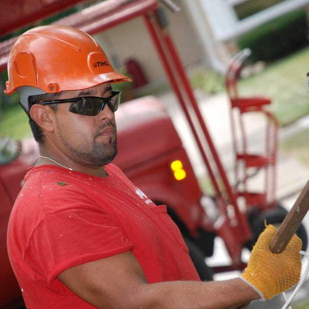 Images Smitty's Tree Service Inc.