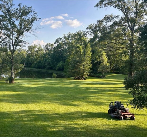 Images Lions Landscaping