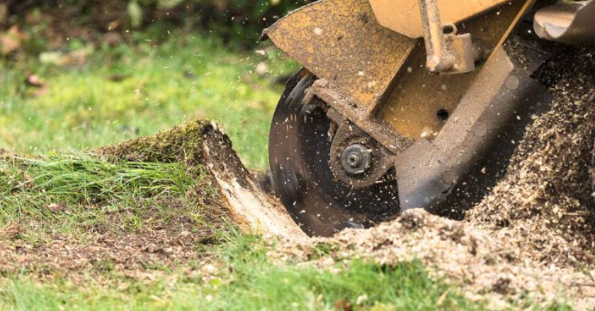 Images Metsuripalvelu HaKa Oy