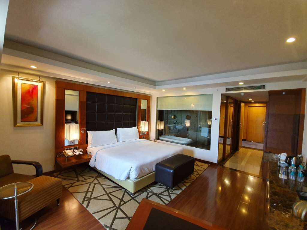 Radisson Blu Plaza Hotel, Delhi Airport