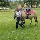 Images Star Ridge Stables