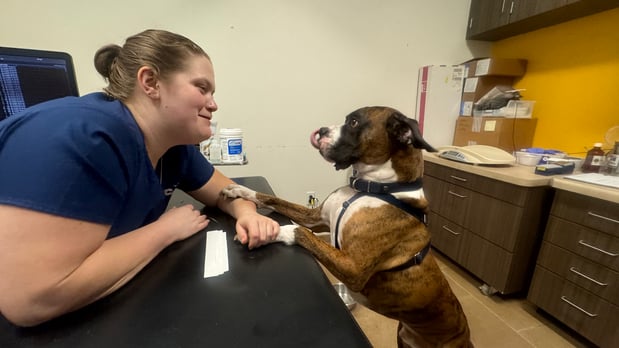 Images VCA West Los Angeles Animal Hospital