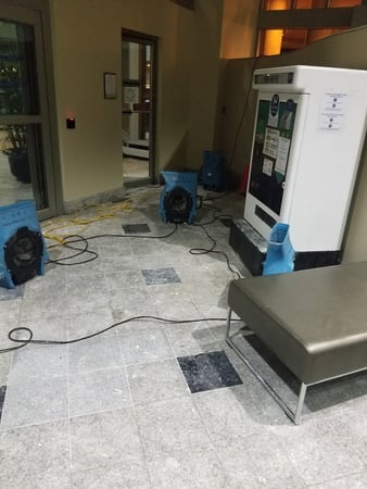 Images EZ Mitigation