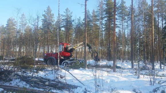 Images Koivumäki Forest Oy