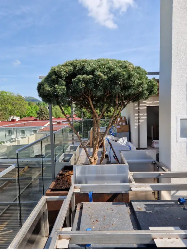 Bild 9 von Kocak Gartengestaltung