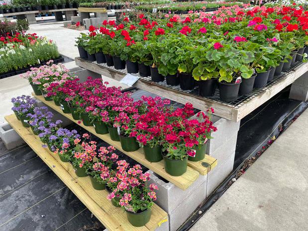 Images Hughes Plant Farm