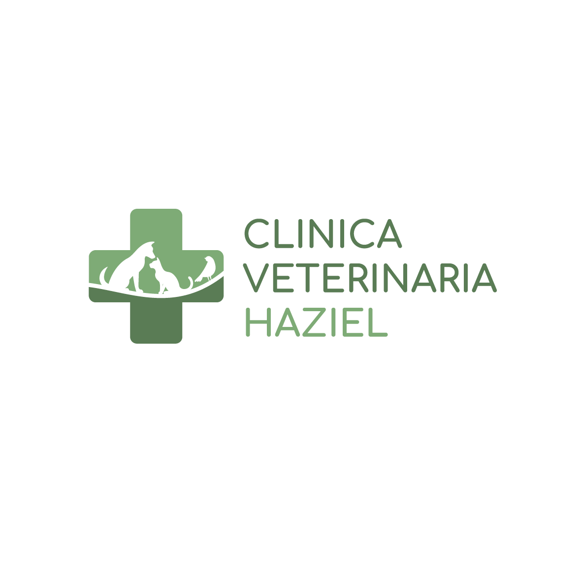 Clinica Veterinaria Haziel - Veterinaria - ambulatori e laboratori Santo Stefano di Magra