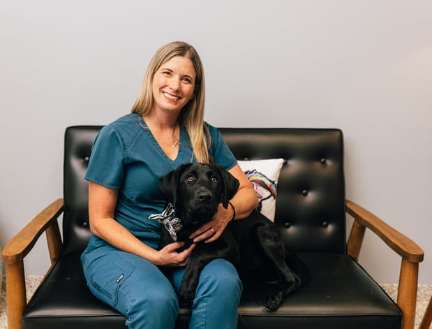 Images PetVet365 Pet Hospital Louisville / Jeffersontown