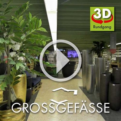 Bild 3 dekorist-shop in Erfurt