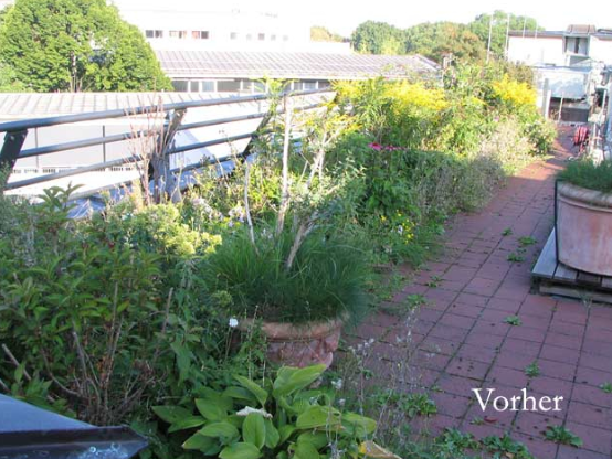 Vor der Dachbegrünung_Werner Anderlik Garten- und Landschaftsbau GmbH