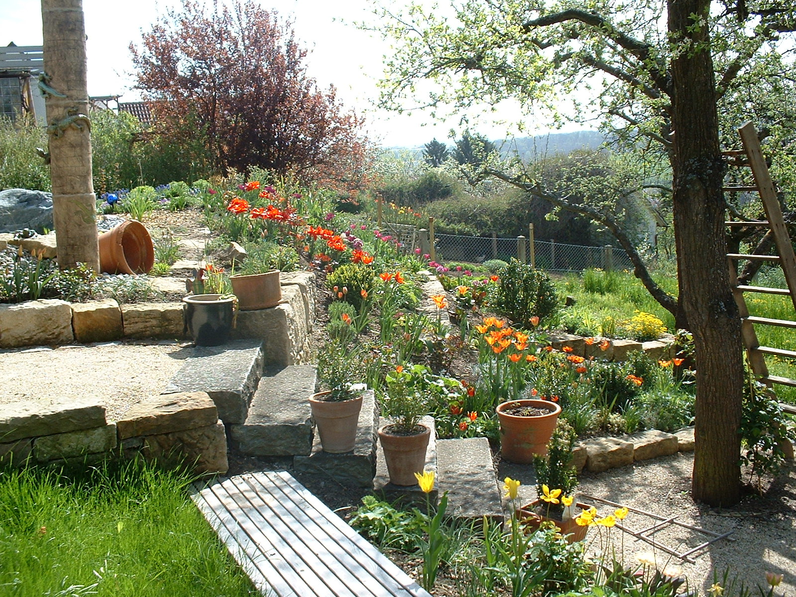 Bilder Wieser - Gärten mit Esprit
