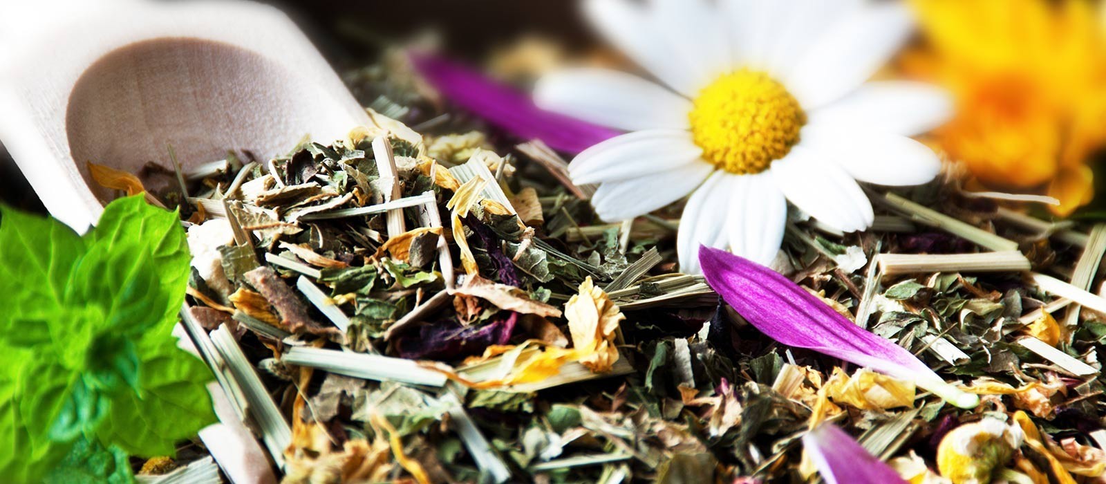 Mag.pharm.Dagmar Hiermann e.U., Ludwig-Binder-Straße 27 in Gleisdorf