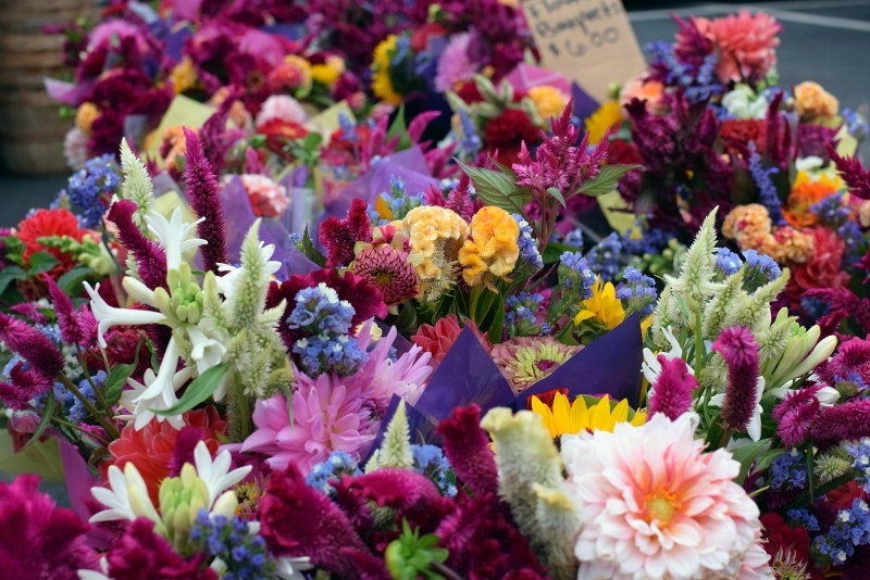 At the Maple Grove Farmers Market, there is a large variety of beautiful – seasonal bouquets available. These bouquets can fit any occasion, and smell just as wonderful as they look. Come and visit us today to experience the full outdoor market!