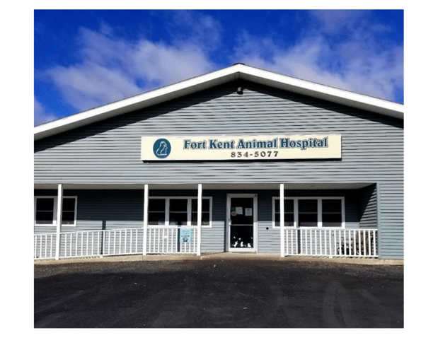 Images Fort Kent Animal Hospital