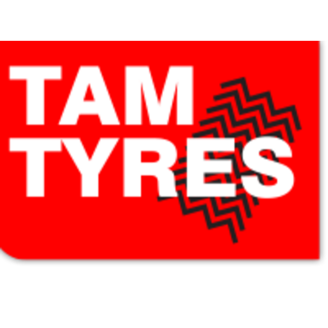 company logo