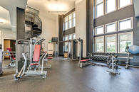 nxnw tallahassee student housing gym