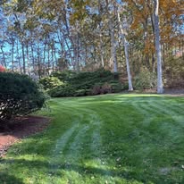 Sofkin Landscaping and Irrigation Image