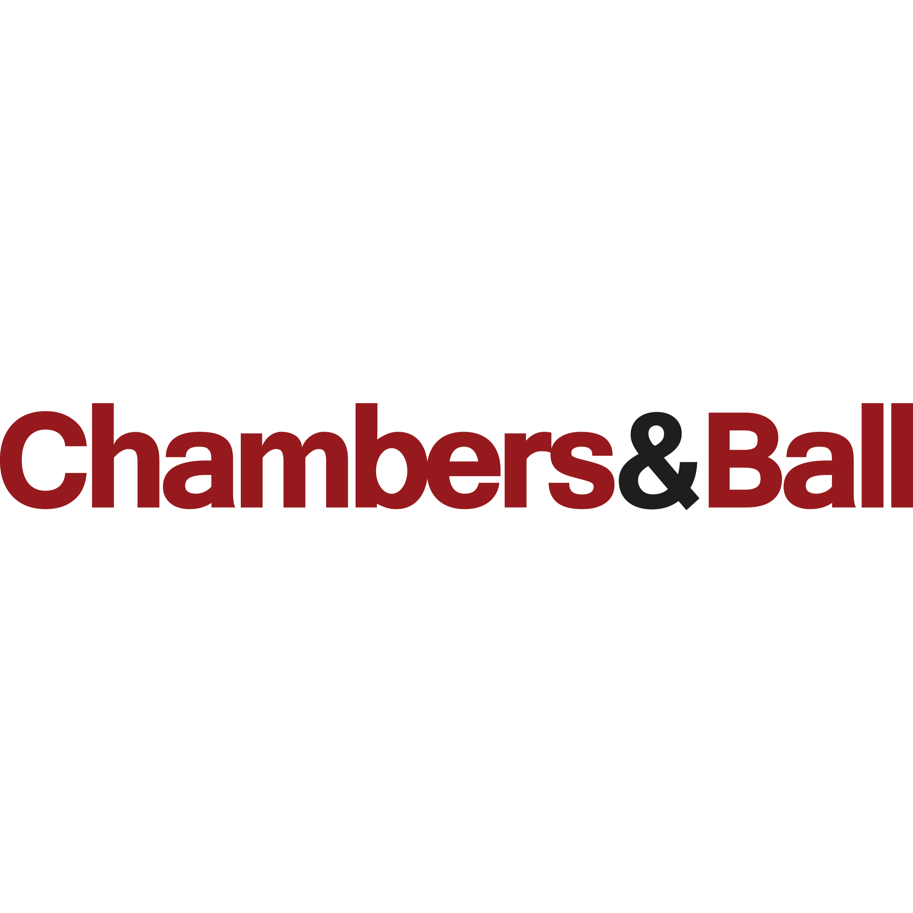 company logo
