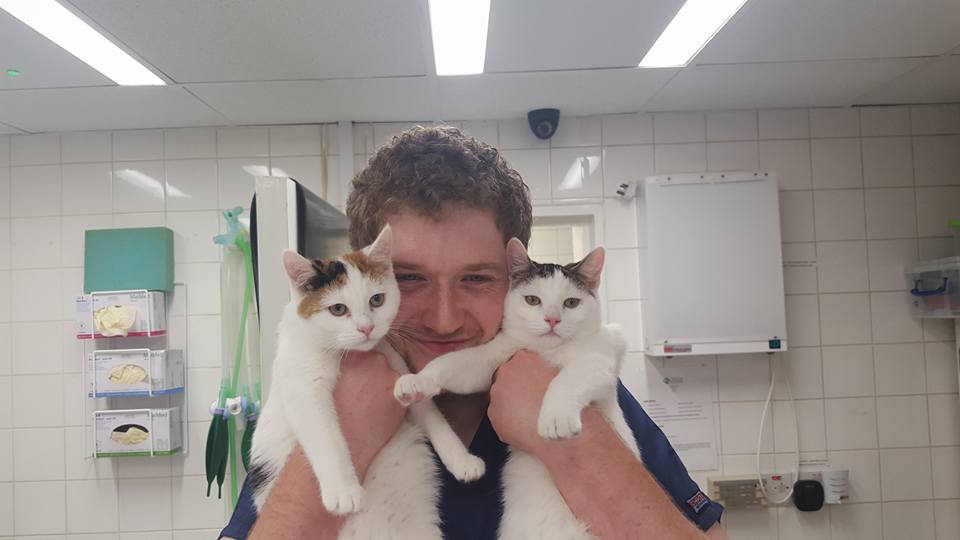 Images Streatham Hill Veterinary Surgery