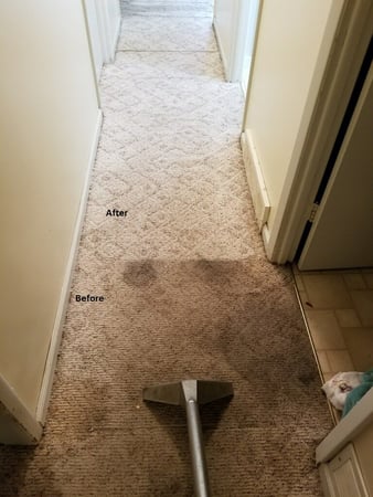 Images DJ Burris Quality Carpet Cleaning