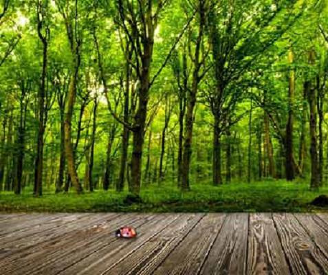 Images Grandini Parquet