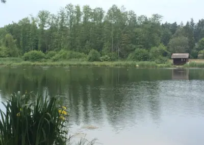 Angelsee Bendestorfer Wassermühle Inhaber: Dirk Schmanns, Bendestorfer Chaussee 17 in Bendestorf