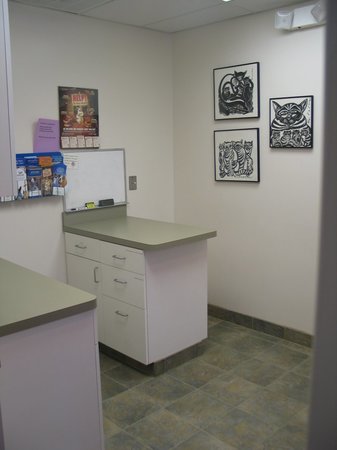 Images VCA Village Animal Hospital
