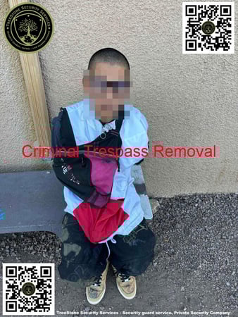 Images TreeStone Security Services