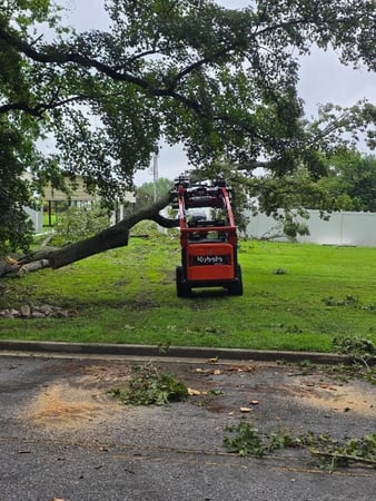 Images Sasquatch Tree Services