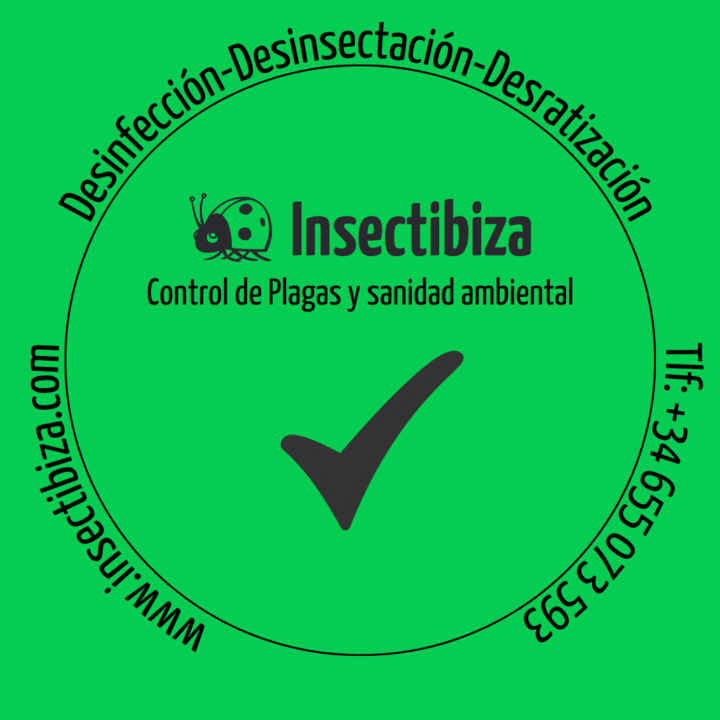 Insectibiza control de plagas Eivissa