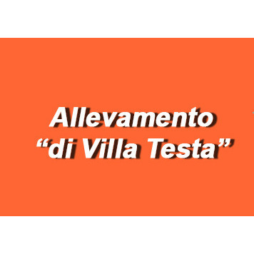Allevamento Villa Testa Logo