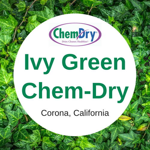 Ivy Green Chem-Dry Logo