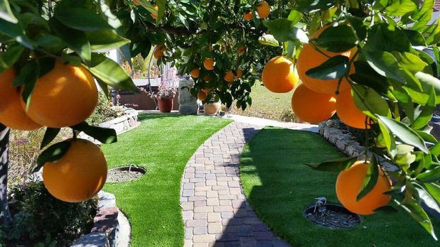 Images Smart Turf Artificial Grass Orange County