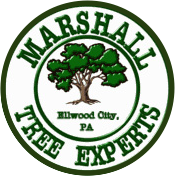 Marshall Tree Service