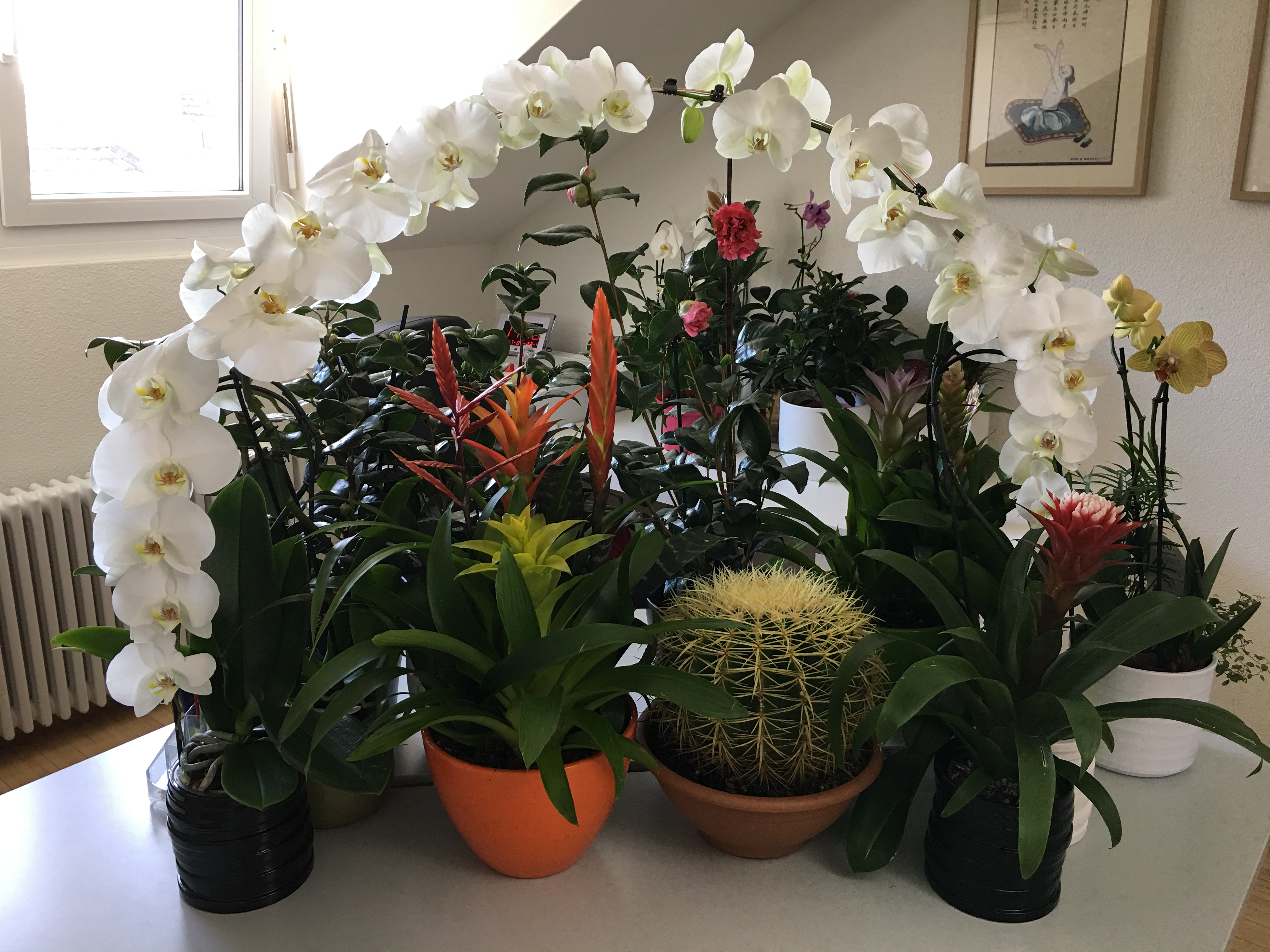 TCM Praxis Zürich, Goethestrasse 22 in Zürich