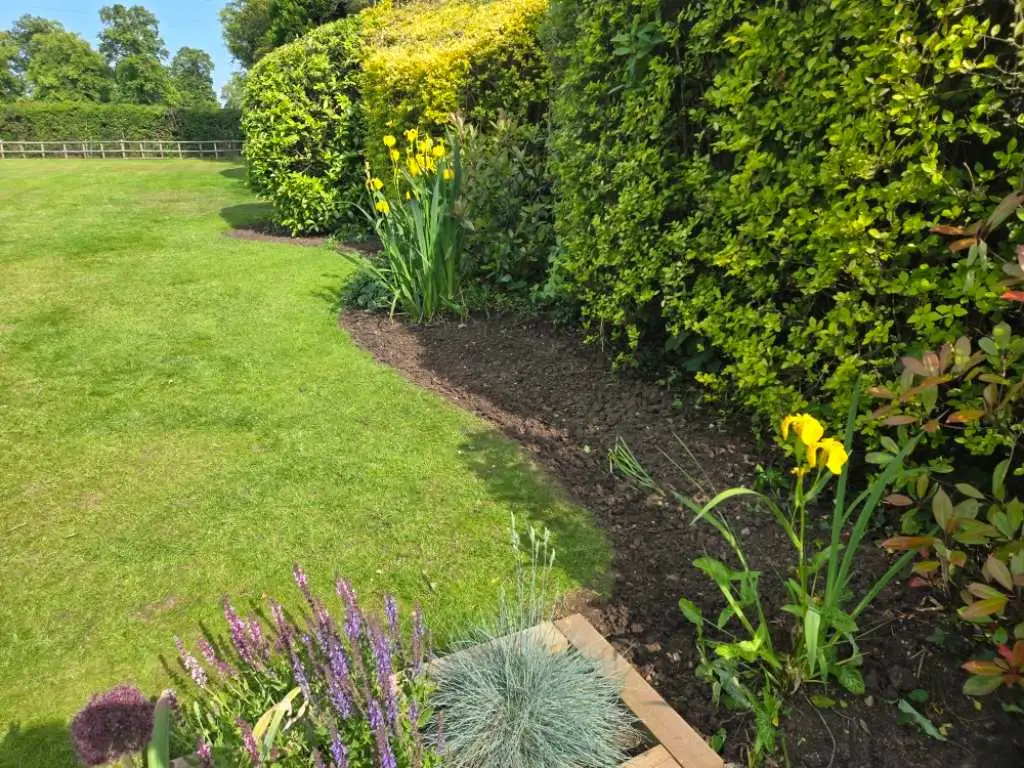 Images J & T Landscaping Ltd