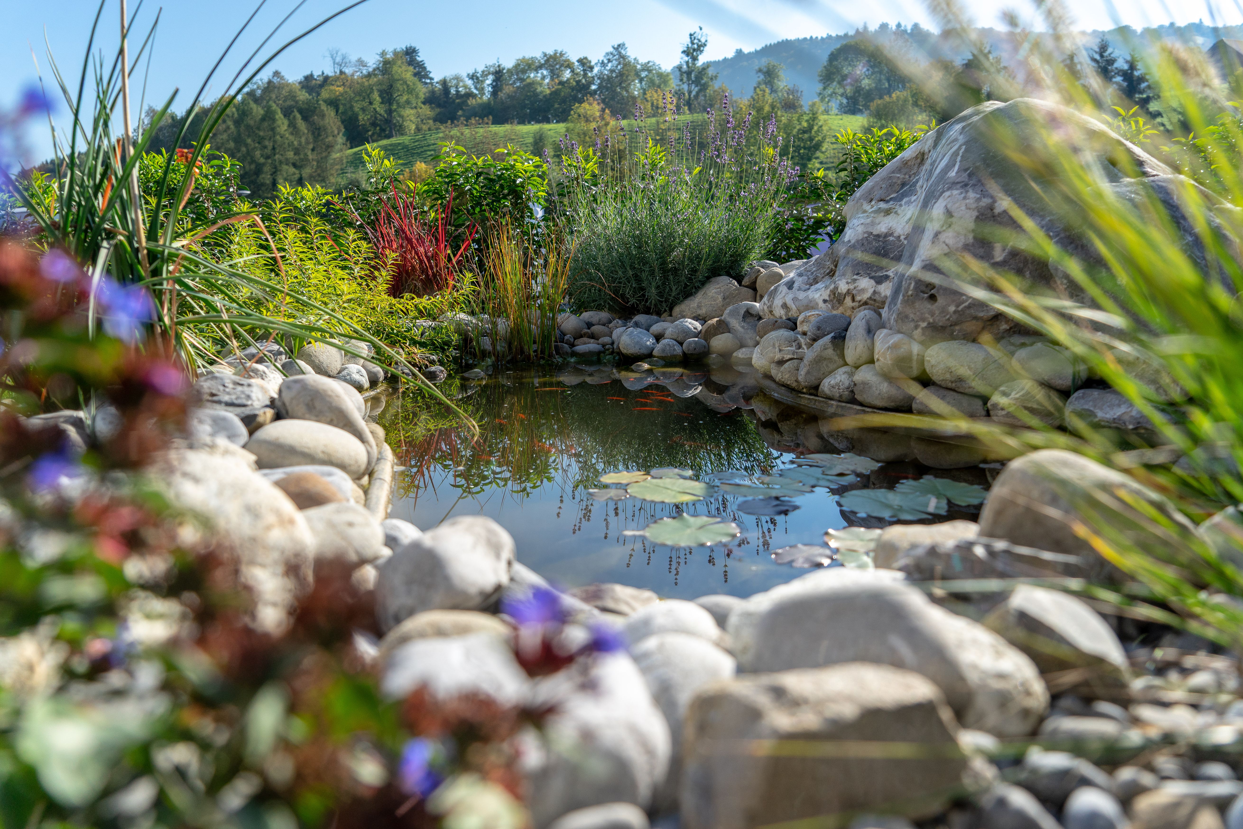 Bilder Widler Gartenbau + Floristik AG