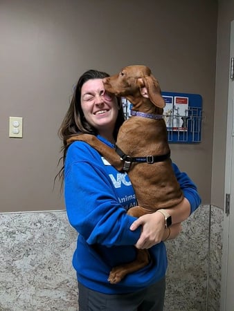 Images VCA Smoketown Animal Hospital