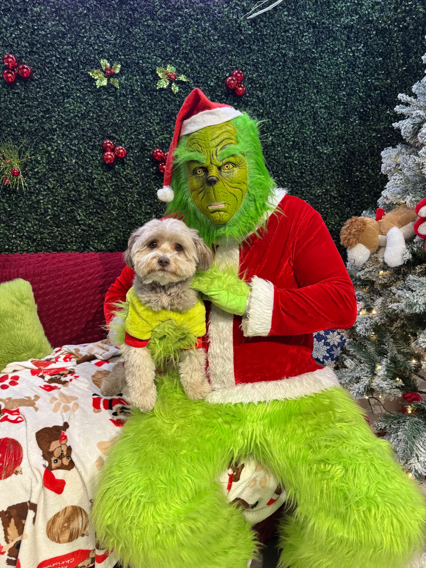 Image of Local Pet Event CAFE EVENT: Grinch Pictures Nearby
