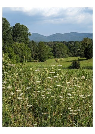 Images Appalachian Realty, LLC