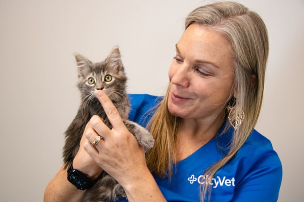 Images CityVet | Rockwall