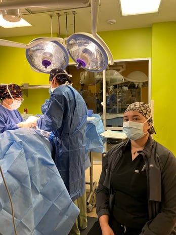 Images VCA West Los Angeles Animal Hospital
