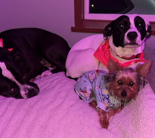 Images Above & Beyond Therapy LLC