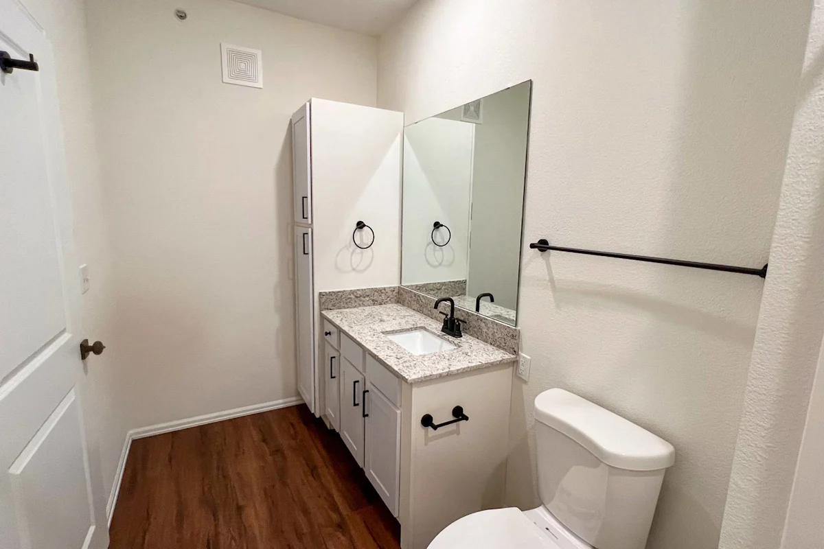 a bathroom with a toilet and a sink and a mirror