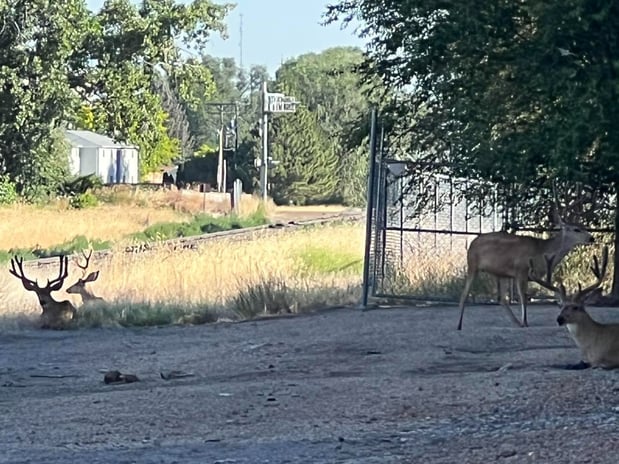 Images Aaron Moore - State Farm Insurance Agent